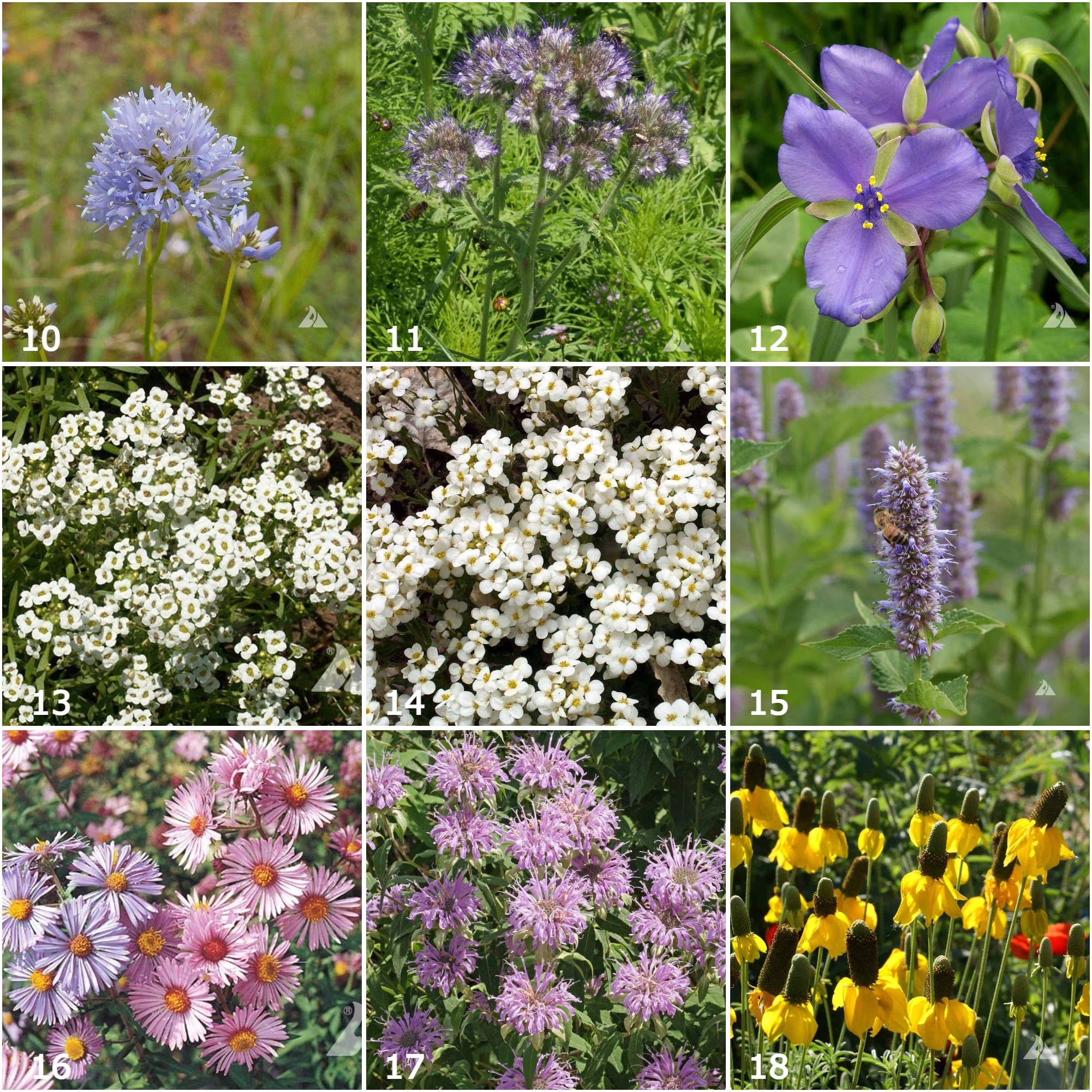 Garden Sprinkles