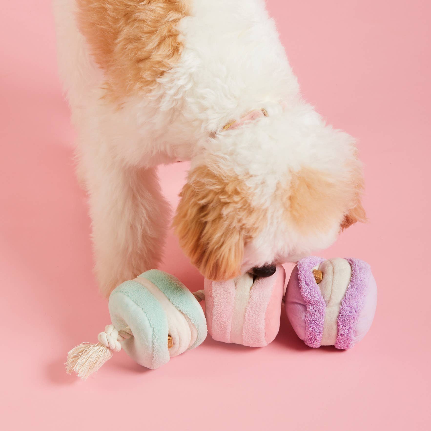 Macarons Interactive Snuffle Dog Toy