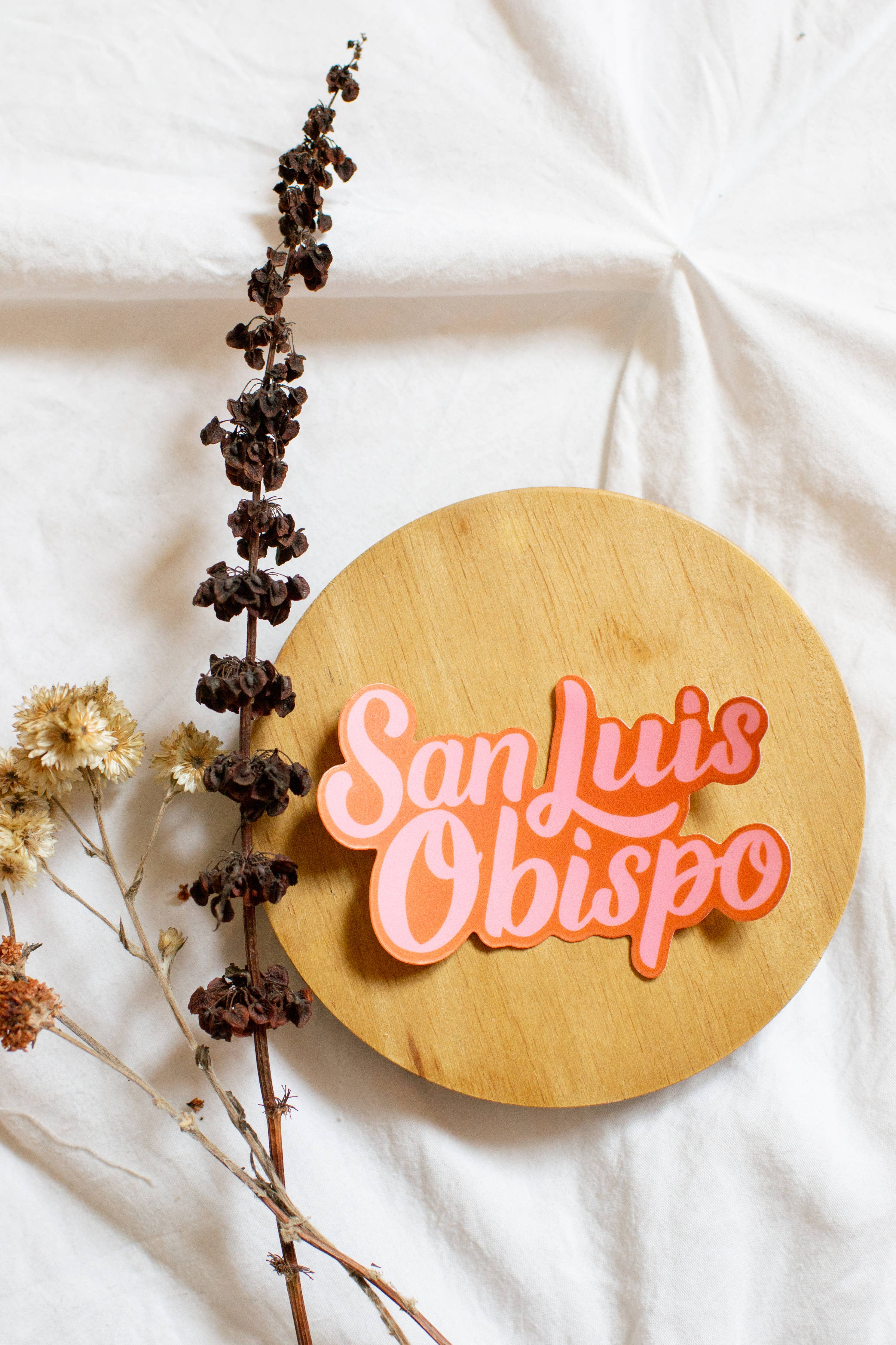 San Luis Obispo Hand Lettered Weatherproof Die Cut Sticker: Pink