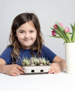 egg coloring & grass growing kit - case