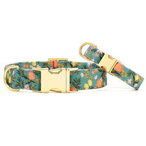 Rifle Paper Co. x TFD Citrus Floral Dog Collar