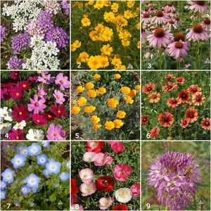 Garden Sprinkles