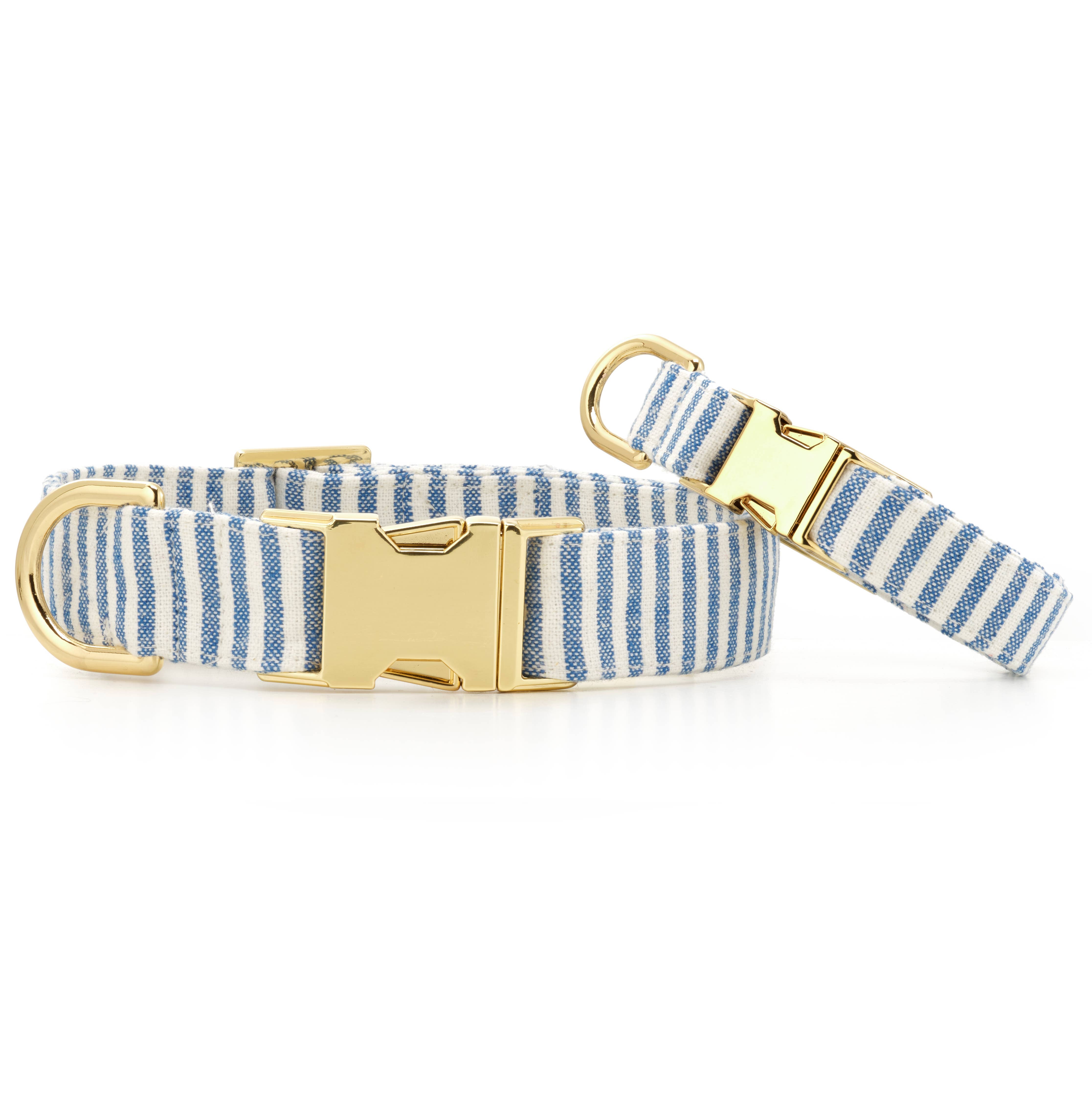 Lake Blue Stripe Spring Dog Collar