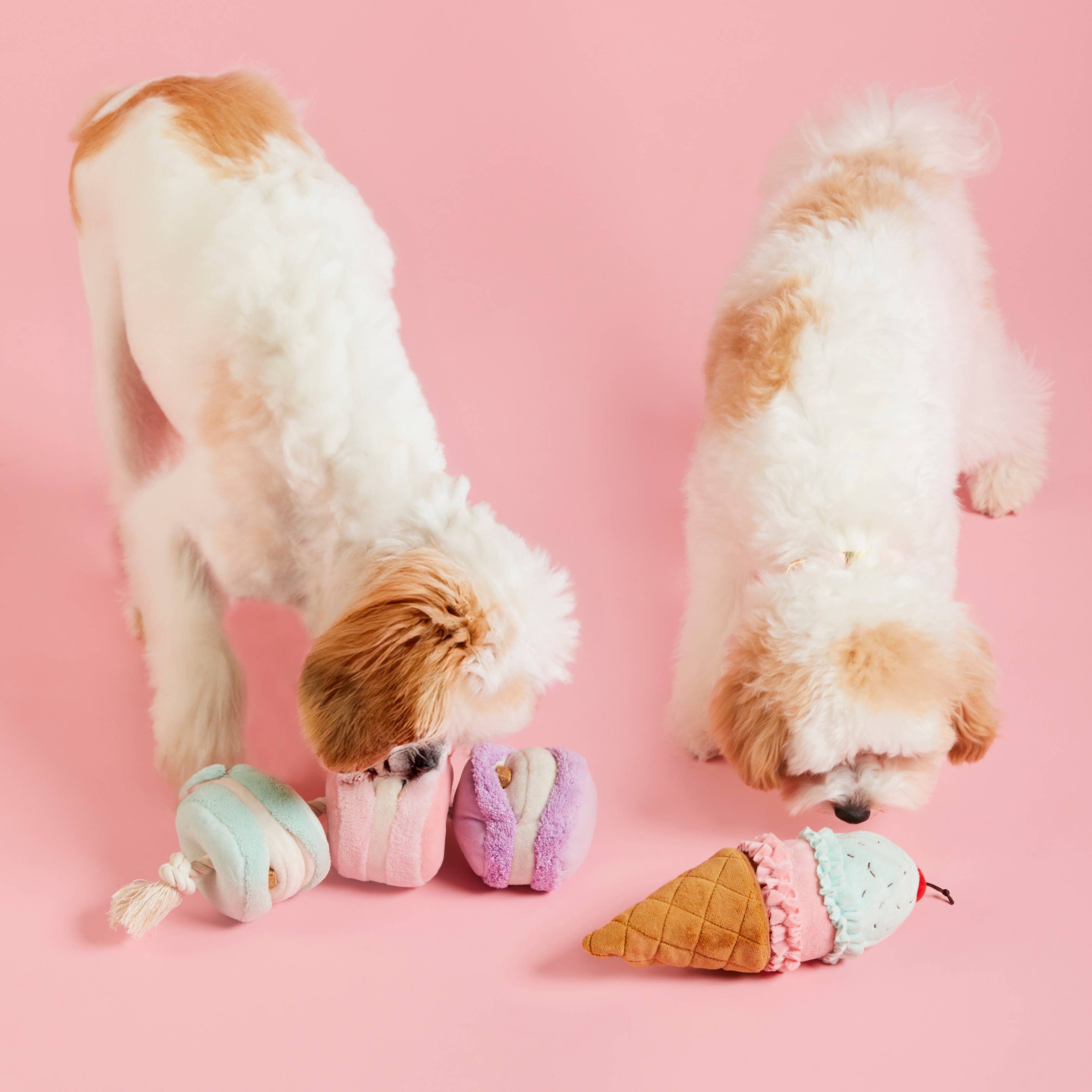 Macarons Interactive Snuffle Dog Toy