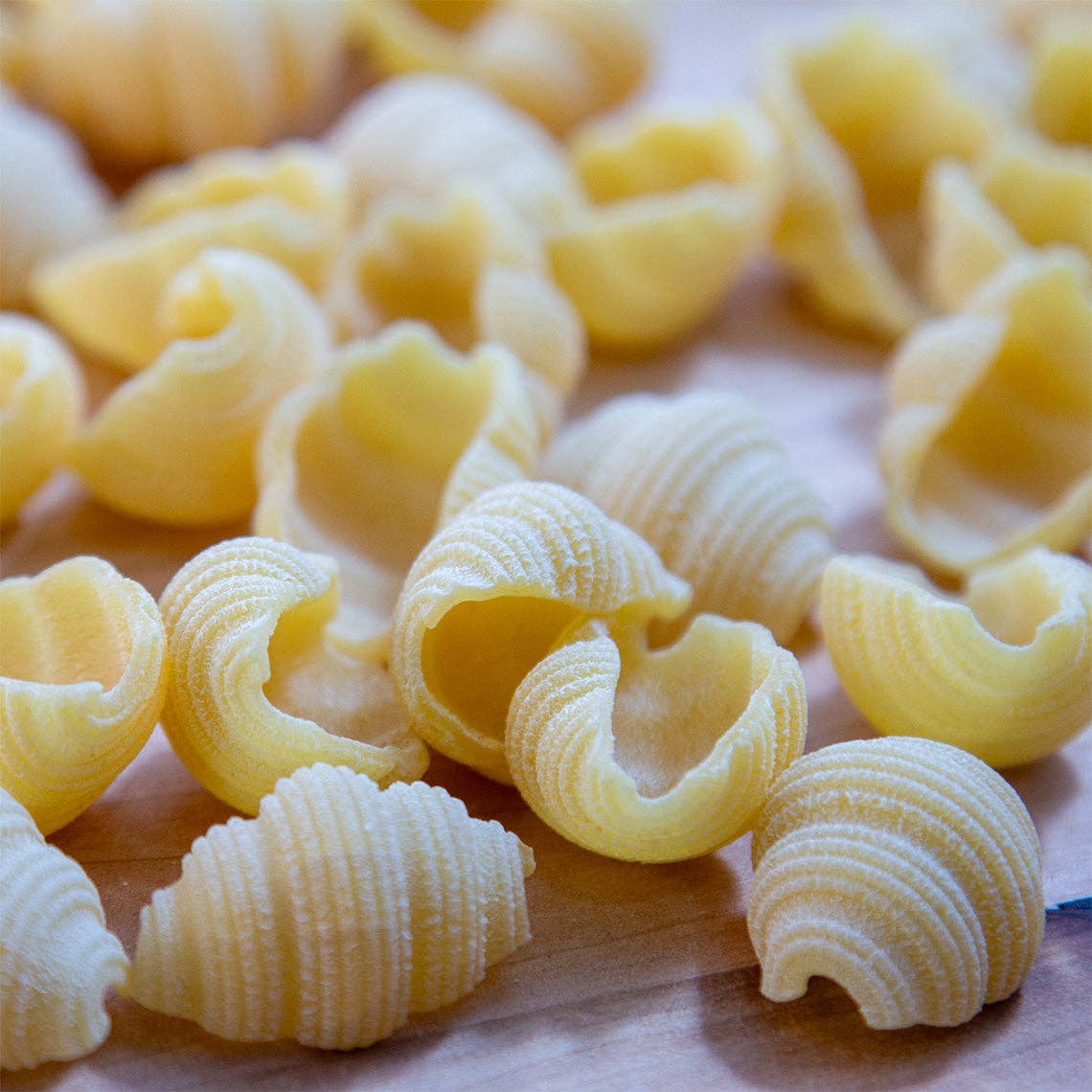 Conchiglie