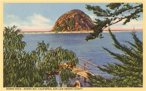 Vintage Image Postcard