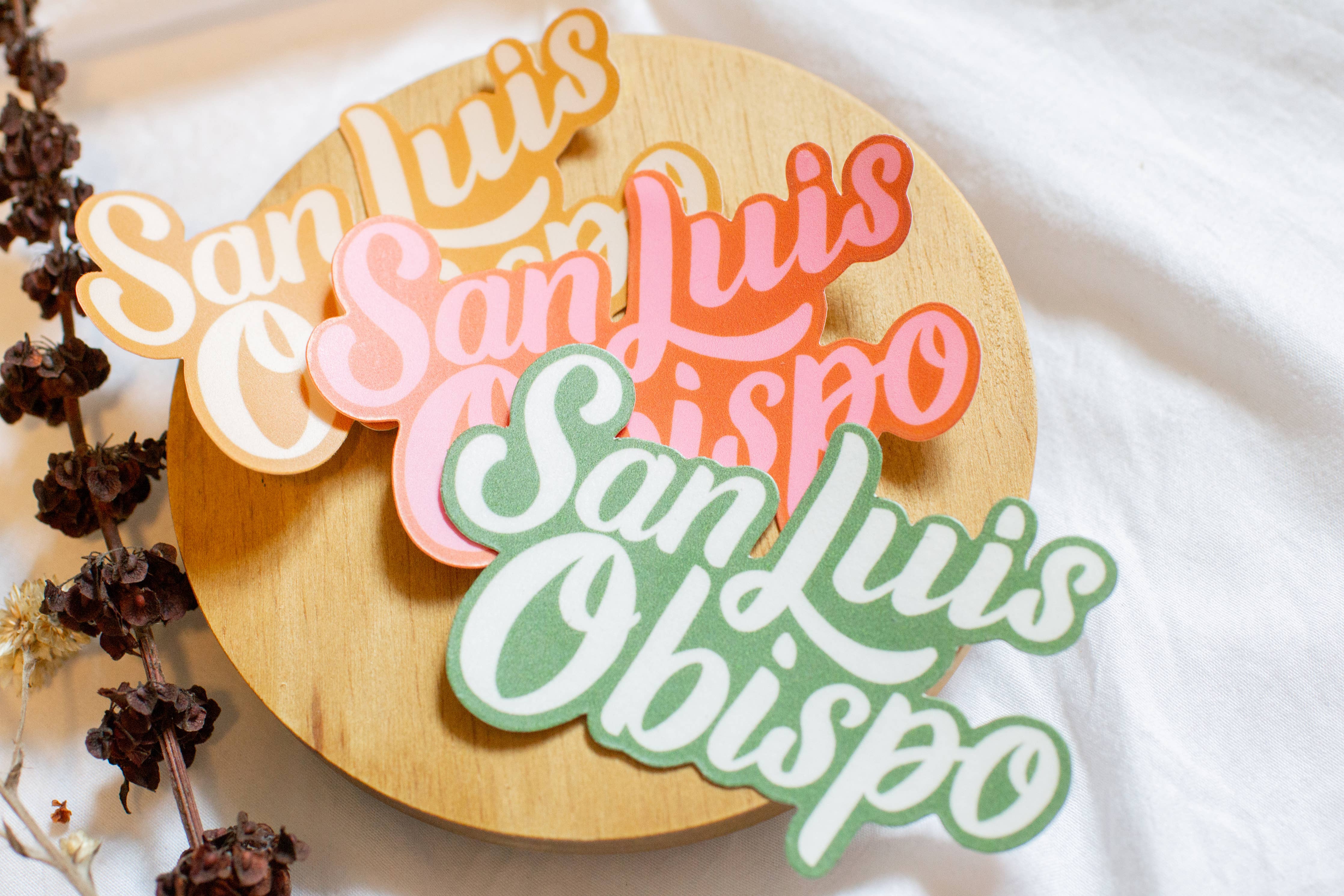 San Luis Obispo Hand Lettered Weatherproof Die Cut Sticker: Pink