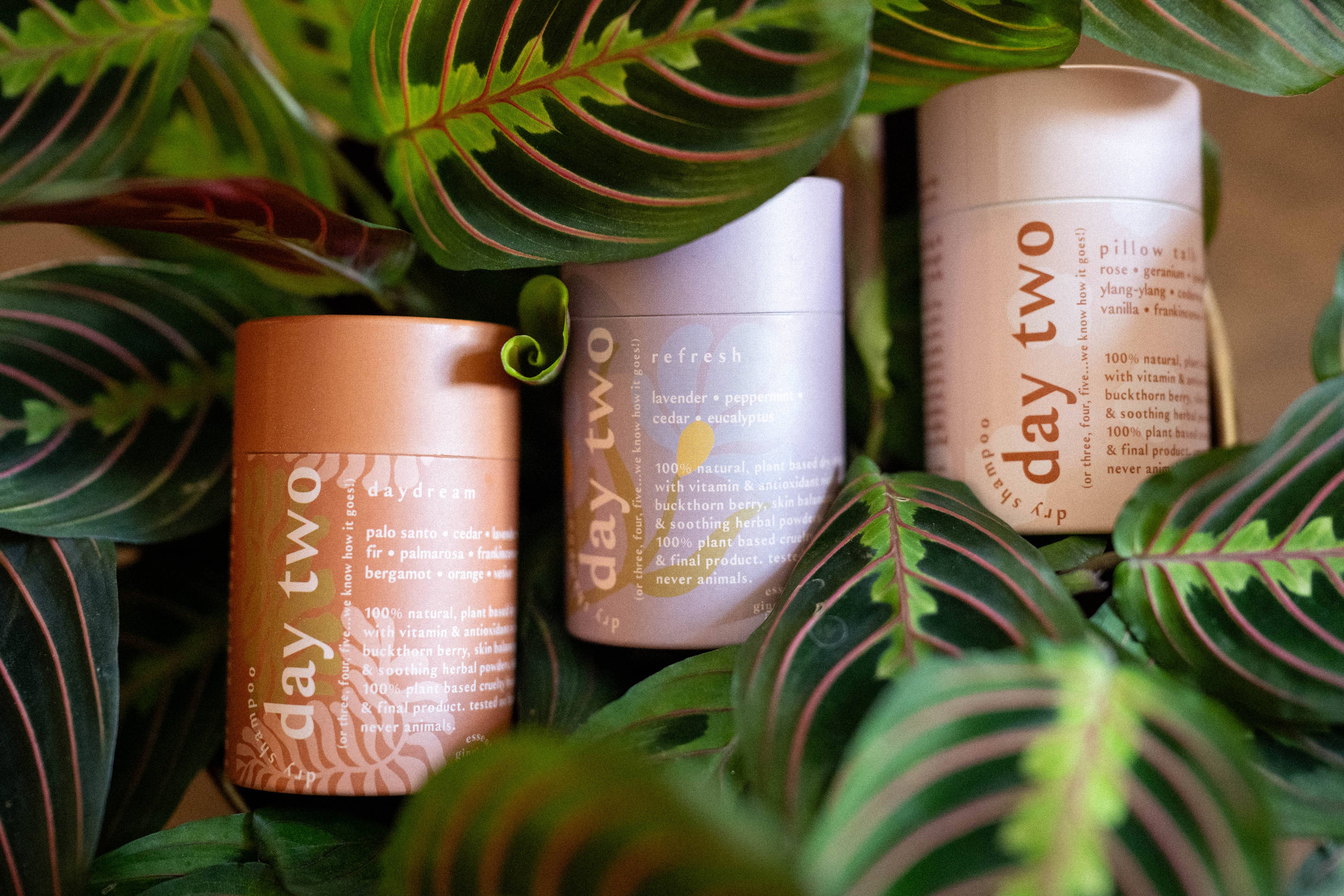Day Two Natural Dry Shampoo: REFRESH