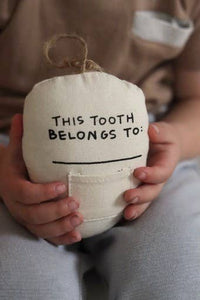 Tooth Fairy Canvas Pillow