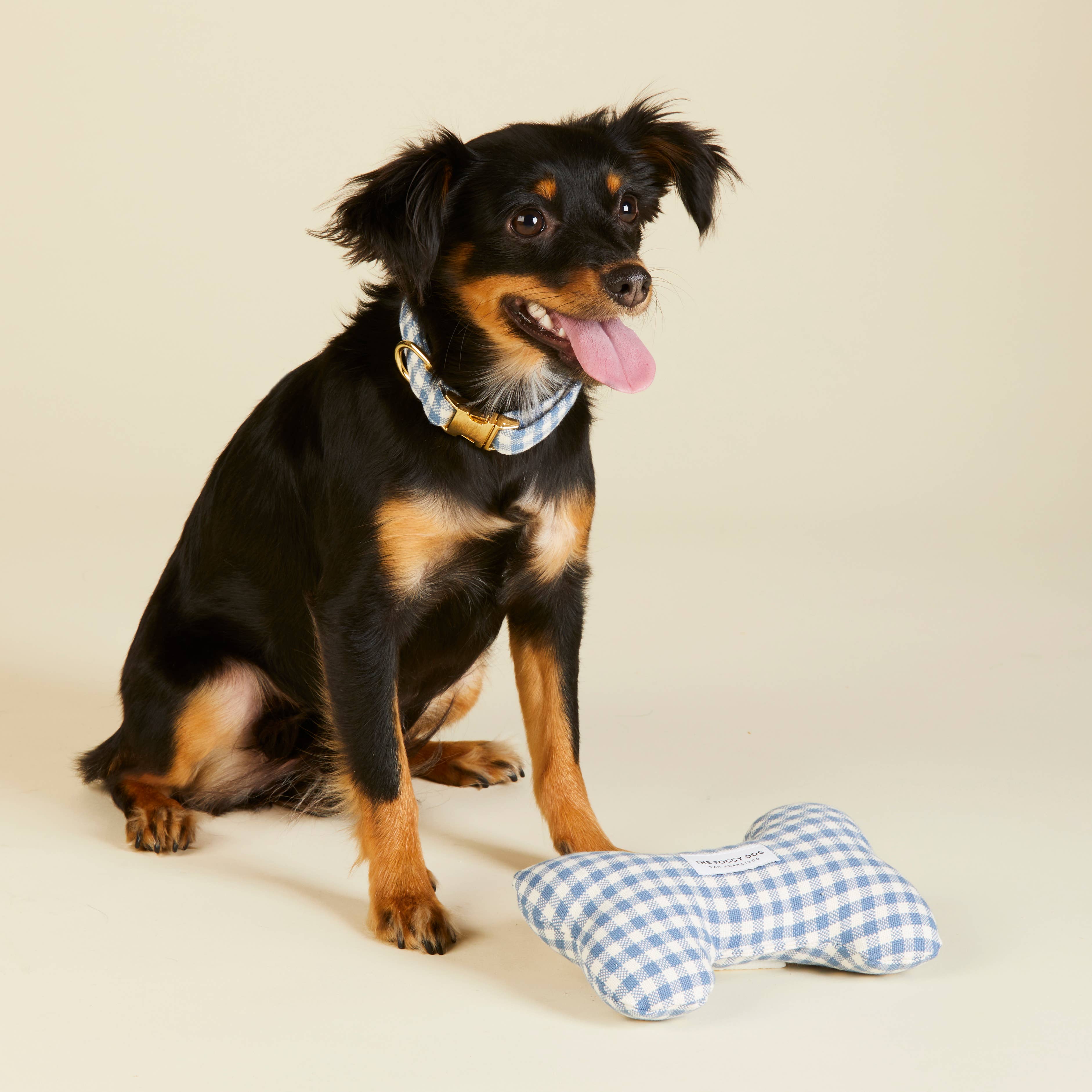 Draper James x TFD Cloud Blue Gingham Dog Bone Squeaky Toy