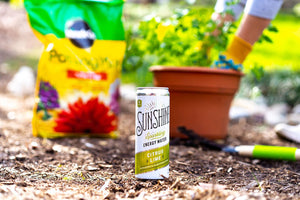 Sunshine Sparkling Energy Water - Citrus Lime