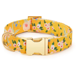 Sunny Days Dog Collar